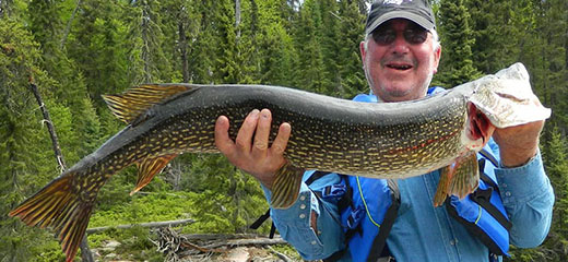 Forfaits de pêche au doré — Kashabowie Outposts Ltd. – Kashabowie Outposts Ltd.